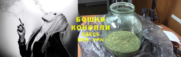 ешки Аркадак