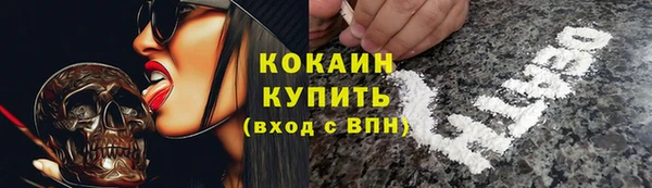 ешки Аркадак