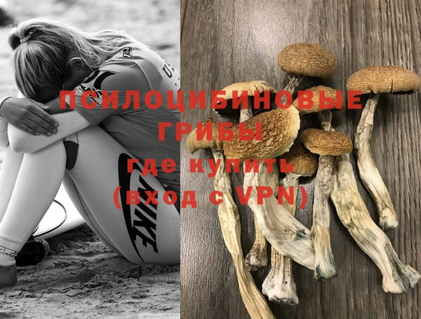 мет Арсеньев